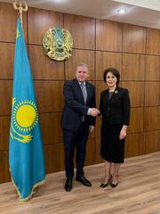 Казахстан и Грузия укрепляют сотрудничество в вопросах здравоохранения  