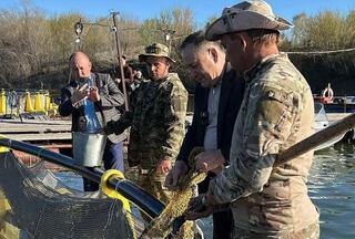 Алтайская форель становится новым брендом ВКО
