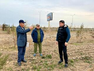 В ТУРКЕСТАНЕ ПРОДОЛЖАЮТСЯ РАБОТЫ ПО ПОСАДКЕ ДЕРЕВЬЕВ В «ЗЕЛЕНОМ ПОЯСЕ»