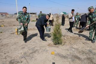Проголосуй и посади свое дерево