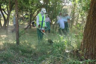 ТУРКЕСТАН: ОКОЛО 500 ЧЕЛОВЕК ПРИНЯЛИ УЧАСТИЕ В СУББОТНИКЕ В ДЕТСКОМ ЛАГЕРЕ ОРДАБАСИНСКОГО РАЙОНА