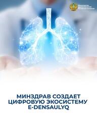 МИНЗДРАВ СОЗДАЕТ ЦИФРОВУЮ ЭКОСИСТЕМУ E-DENSAULYQ