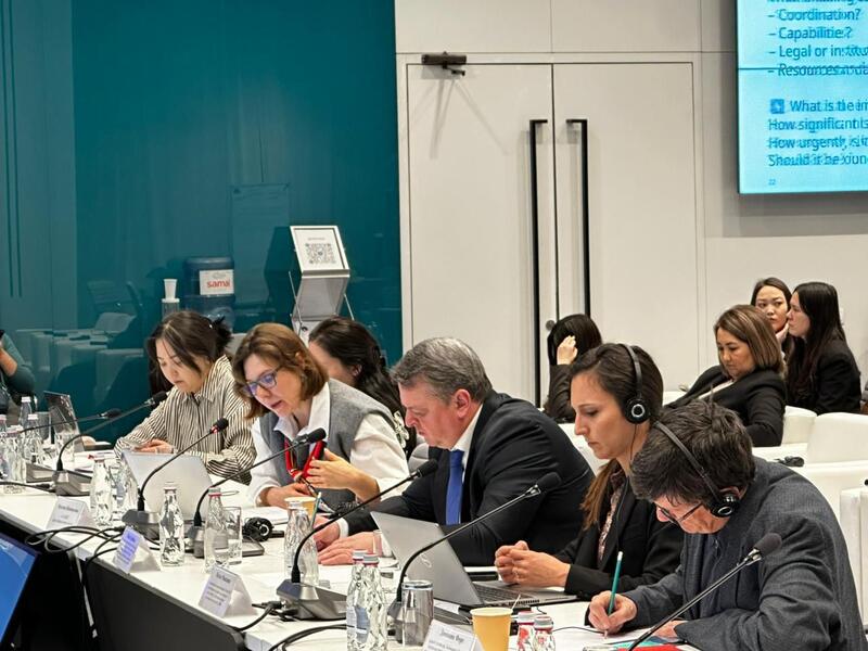 В Астане прошли рабочие консультации по разработке Национальной стратегии в области инноваций