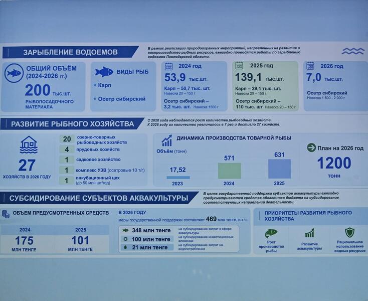 Участники международного форума ознакомились с развитием Иртыша в Павлодаре