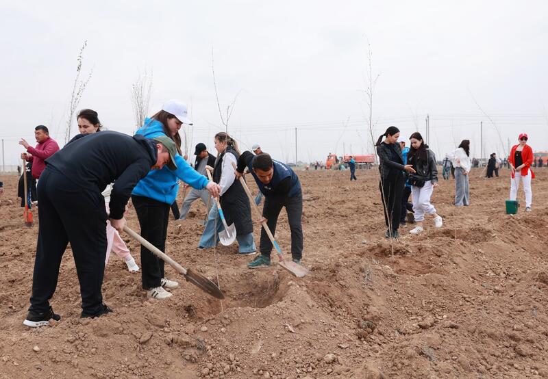 Таза Қазақстан: в Таразе высажено 10 тысяч деревьев