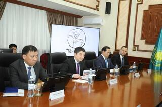 Аким области обсудил с китайскими инвесторами проекты возобновляемой энергетики