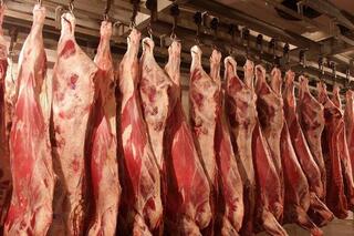 Казахстан укрепляет позиции на международном рынке животноводческой продукции  