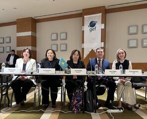 Казахстан и ФАО обсудили вопросы воздействия пестицидов на здоровье