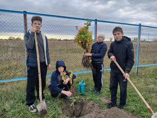 В Бородулихинском районе высаживают деревья в рамках программы «Таза Қазақстан»