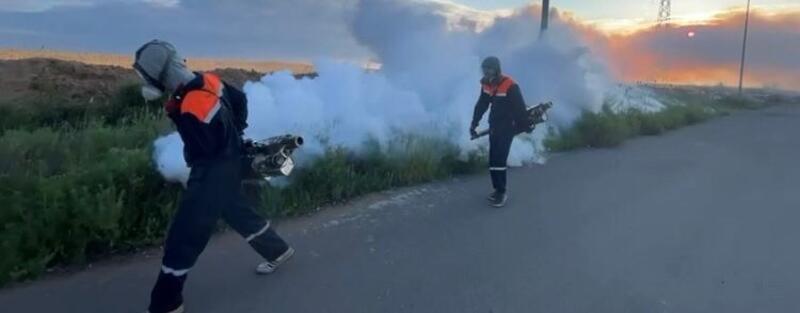 В Астане проводятся полномасштабные дезинсекционные работы против комаров