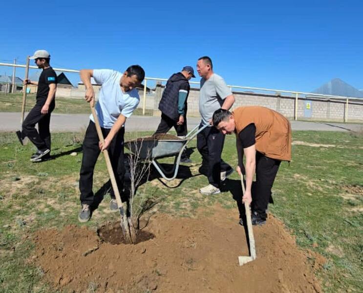 «Таза Қазақстан»: в Жамбылской области высадили свыше 9 тысяч деревьев
