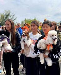 В Усть-Каменогорске пройдет семейный фестиваль PET DOG FEST-2026 для любителей животных