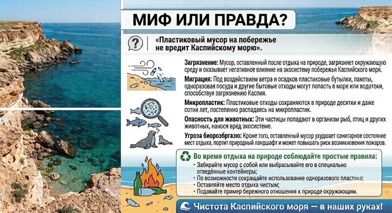 Миф или правда? «После отдыха можно не убирать за собой мусор — ничего страшного не произойдет»