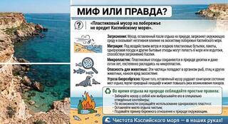 Миф или правда? «После отдыха можно не убирать за собой мусор — ничего страшного не произойдет»