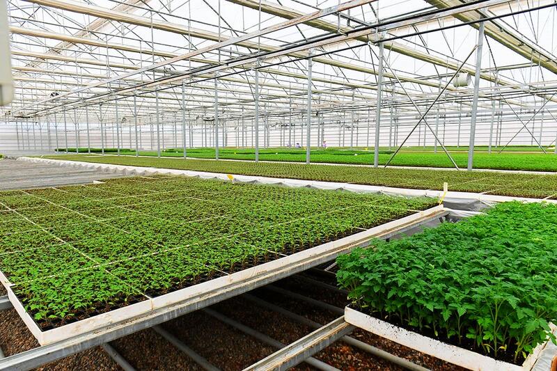 АПК Туркестанской области показывает высокие темпы развития