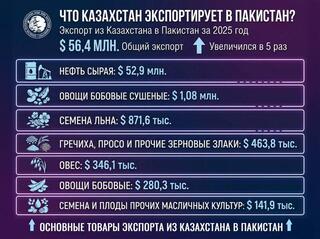 Экспорт Казахстана в Пакистан увеличился в 5 раз в 2025 году