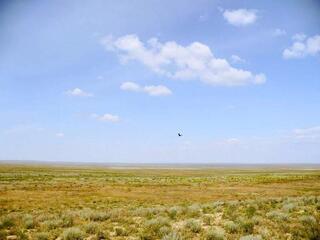 В области Абай неиспользуемые сельскохозяйственные земли досрочно возвращены в государственную собственность