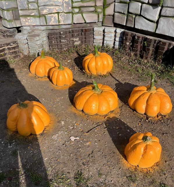 1 мая в Караганде стартует сезон путешествий на «Хогвартс-экспрессе»