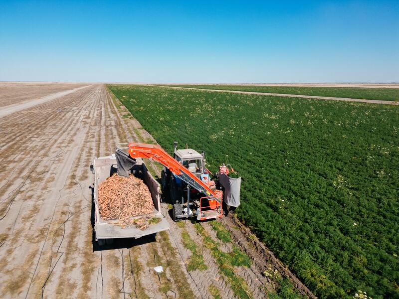 В Атырауской области объём производства сельскохозяйственной продукции достиг 116,8 млрд тенге