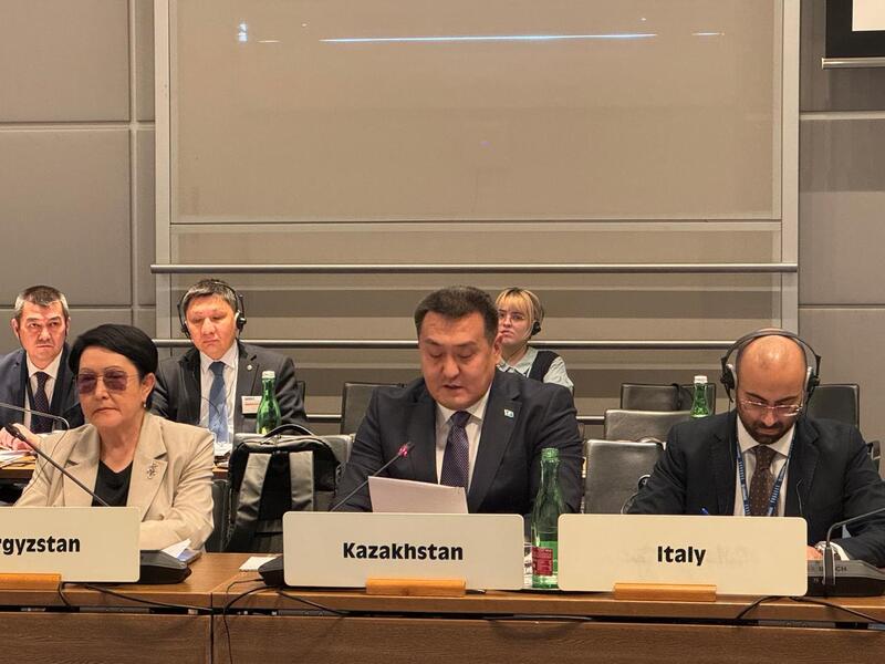 МЧС Казахстана усиливает международное взаимодействие в сфере снижения рисков бедствий