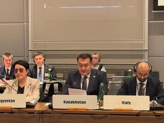 МЧС Казахстана усиливает международное взаимодействие в сфере снижения рисков бедствий