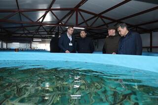 Айдарбек Сапаров ознакомился с ходом реализации инвестпроектов АПК в Костанайской области