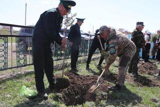 Неделя «Жасыл аймақ» в Кокпектинском районе началась с посадки деревьев