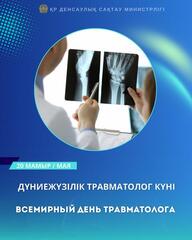 В КАЗАХСТАНЕ ЗА 2024 ГОД С РАЗЛИЧНЫМИ ТРАВМАМИ БЫЛО ПРОЛЕЧЕНО 240 ТЫСЯЧ ПАЦИЕНТОВ