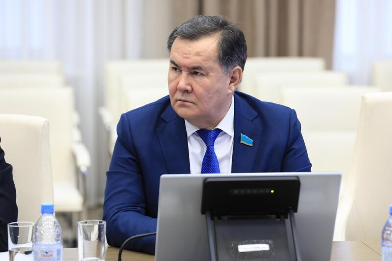 Аким региона обсудил с сенаторами развитие экономики и бюджетный потенциал