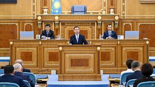 Парламент одобрил в первом чтении конституционные законопроекты о статусе столицы и административно-территориальном устройстве РК