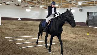 Жизнь без барьеров: В Караганде турнир по верховой езде собрал около 30 особенных спортсменов  