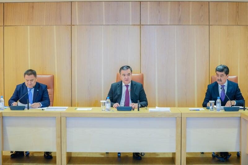 Создание экопарков в столице и пристоличном регионе обсудили в Астане