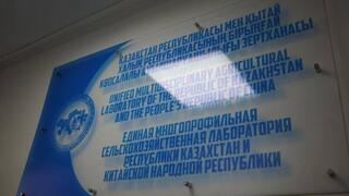 В ВКО открылась первая Единая многофункциональная сельскохозяйственная лаборатория Казахстана и КНР