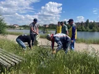 «Таза Қазақстан»: участники чемпионата по стритфишингу убрали территорию после турнира