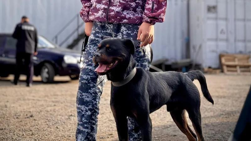 Борьба с наркопреступностью: уличные камеры помогли столичным полицейским выявить факт хранения наркотиков