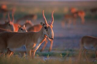 Касательно видеоролика в социальных сетях