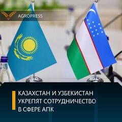 Казахстан и Узбекистан укрепят сотрудничество в сфере АПК