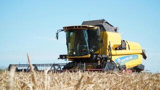 Акмолинскими аграриями намолочено 7,1 млн тонн зерна