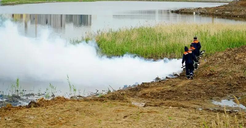 В Астане проводятся полномасштабные дезинсекционные работы против комаров