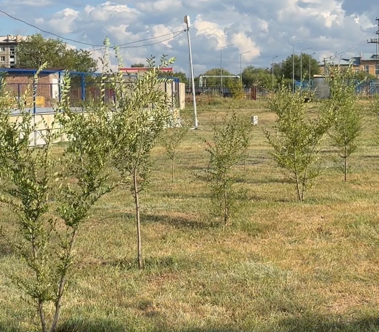 В рамках рабочего объезда состоялось посещение городского парка культуры и отдыха