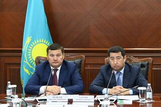 Айдарбек Сапаров поручил держать ситуацию с саранчовыми в Кызылординской и Актюбинской областях на контроле