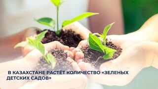 В Казахстане растёт количество «Зеленых детских садов»