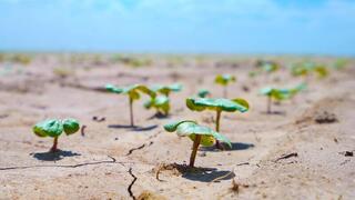 НОВЫЕ ВОДОСБЕРЕГАЮЩИЕ ТЕХНОЛОГИИ ВНЕДРЯЮТ В ТУРКЕСТАНСКОЙ ОБЛАСТИ