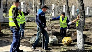 Создадим зелёный пояс: в Карагандинской области продолжают сажать деревья