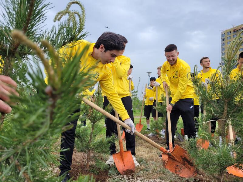 «Таза Қазақстан»: к 100-летию Ассоциации «Динамо» в столице высажено 150 саженцев сосны