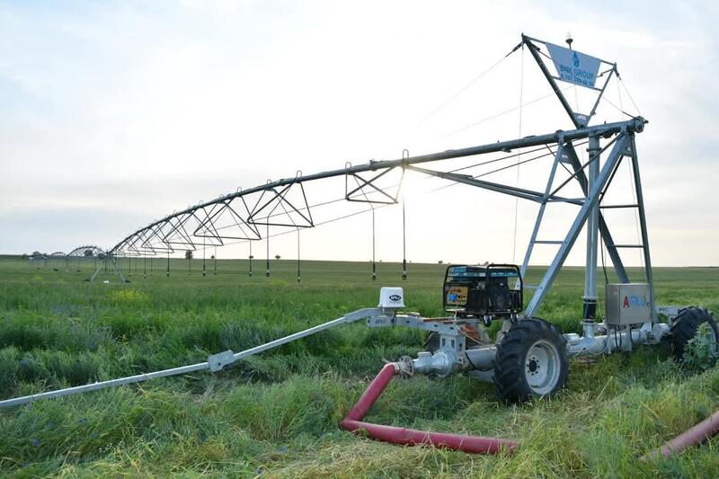 В ТУРКЕСТАНСКОЙ ОБЛАСТИ АКТИВНО ВЕДЕТСЯ ВЕСЕННЯЯ ПОСЕВНАЯ КАМПАНИЯ