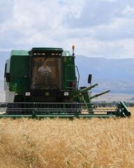 ИТОГИ ГОДА: ТУРКЕСТАНСКАЯ ОБЛАСТЬ СТАЛА ЛИДЕРОМ В РЕСПУБЛИКЕ ПО ОБЪЁМУ СЕЛЬСКОХОЗЯЙСТВЕННОЙ ПРОДУКЦИИ