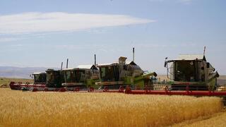 В Казахстане намолочено 18,6 млн тонн зерна