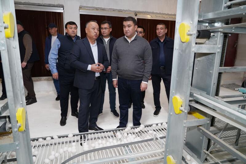 ТУРКЕСТАН: ПТИЦЕФАБРИКА В САРЫАГАШЕ ОБЕСПЕЧИВАЕТ РЕГИОН ОТЕЧЕСТВЕННОЙ ПРОДУКЦИЕЙ