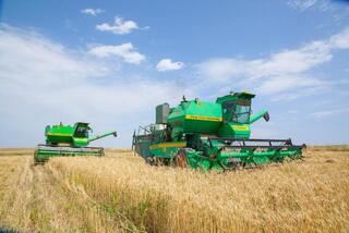 26,9 млн тонн зерновых намолочено в Казахстане